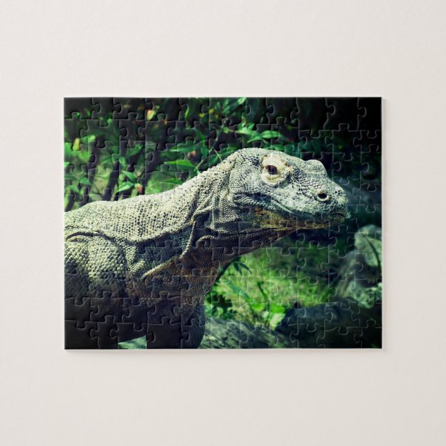 Komodo Dragon Puzzle (Horizontal)