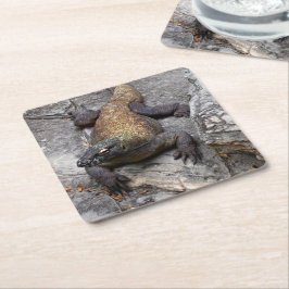 Komodo Dragon Stone Perch Rechteckiger Pappuntersetzer