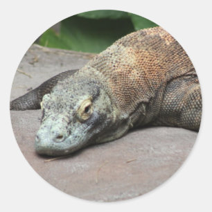 Komodo dragon (Varanus komodoensis), Runder Aufkleber