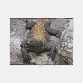 Komodo Dragon Warm Rock Scene Fleecedecke