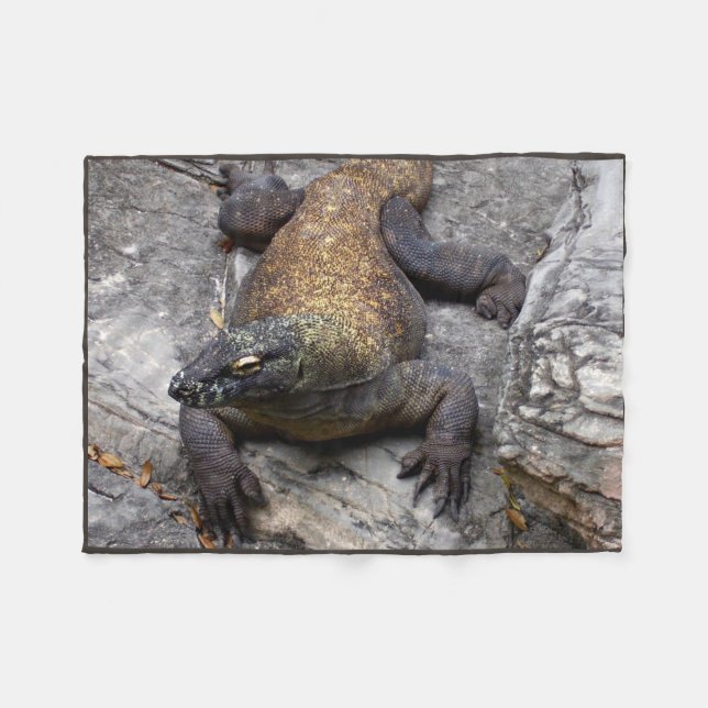 Komodo Dragon Warm Rock Scene Fleecedecke (Vorderseite (Horizontal))