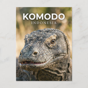 Komodo-Nationalpark Indonesien Postkarte