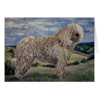 Komondor