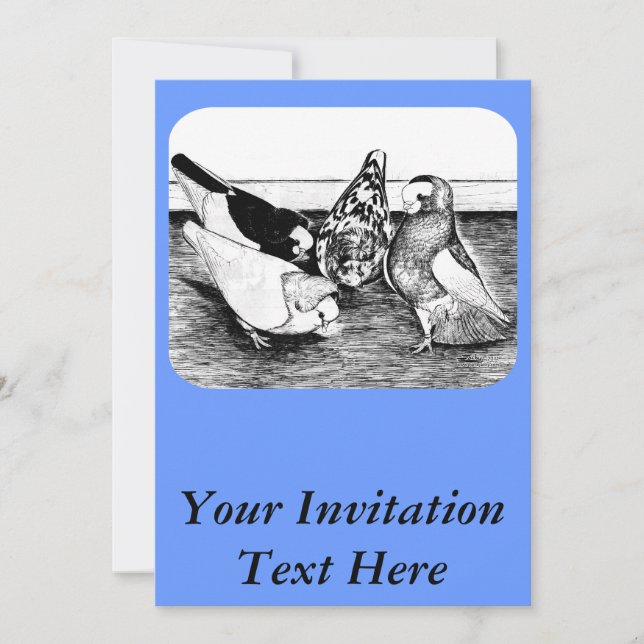 Komorner Tumbler Pigeon Quartett Einladung (Vorderseite)