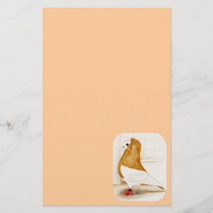 Komorner Yellow Mag Pigeon 1973 Briefpapier