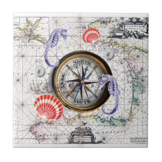 Kompass Vintage Nautical Fliese