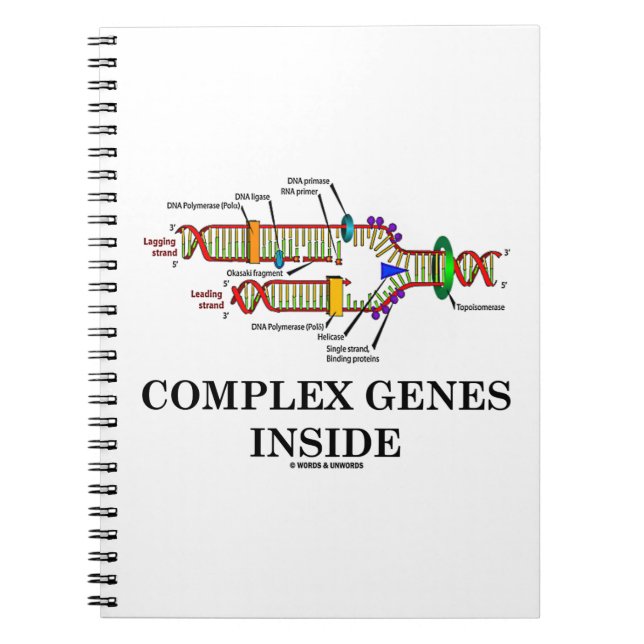 Komplexe Gene innerhalb (DNA-Replikation) Notizblock (Vorderseite)