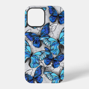 Komposition aus weißen und blauen Schmetterlingen iPhone 12 Pro Hülle