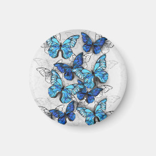 Komposition von weißen und blauen Schmetterlingen Magnet