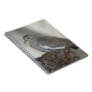 Komprimiertes Dove-Notebook Notizblock