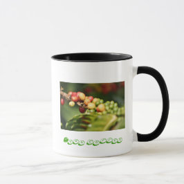 Kona-Kaffee Tasse