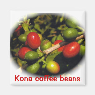 Kona Kaffeebohnen Magnet