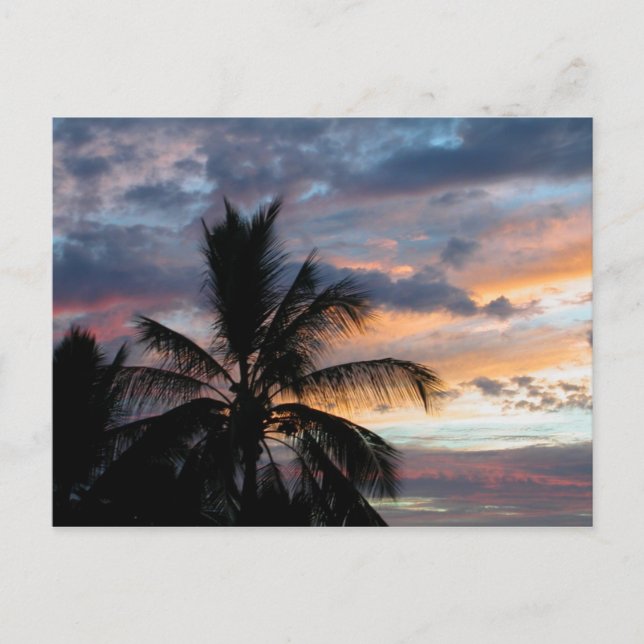 Kona Sunset Postcard Postkarte (Vorderseite)