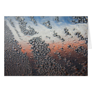 Kondenswassertropfen