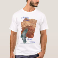 Kondor-T-Shirt