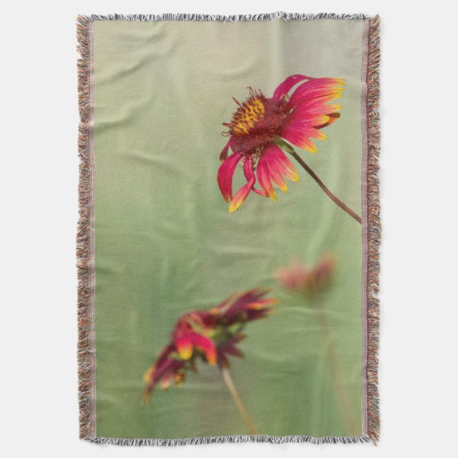 Kone Blume beginnen zu blühen Decke (Vorderseite Vertikal)