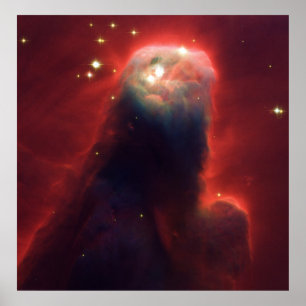 Kone Nebula NGC 2264 vom Hubble Teleskop übernomme Poster