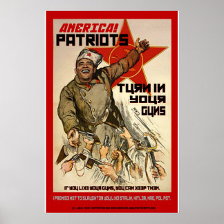 Konfiszierung von Waffen - 2. Änderung Poster