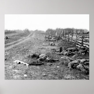 Konföderierte Tote in Antietam: 1862 Poster