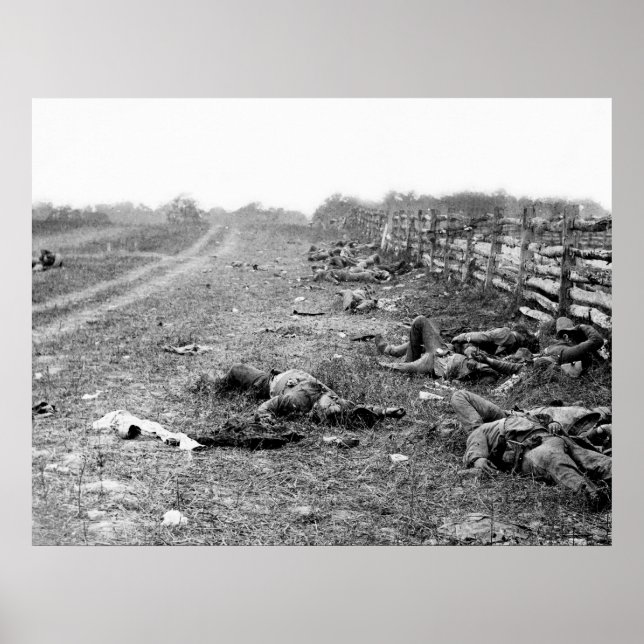 Konföderierte Tote in Antietam: 1862 Poster (Vorne)