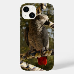 Kongo African Gray auf einem Swing Case Mate iPhon