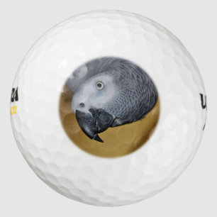 Kongo African Gray Parrot Hello Golfball