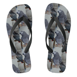Kongo African Gray Parrot in Mirror Flip Flops