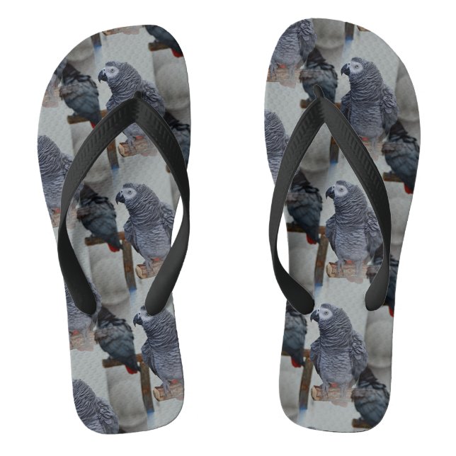 Kongo African Gray Parrot in Mirror Flip Flops (Fußbett)