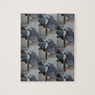 Kongo African Gray Parrot in Mirror Puzzle
