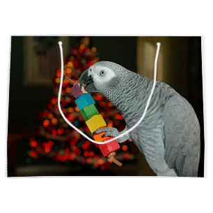 Kongo African Gray Parrot Merry Christmas Tree Große Geschenktüte