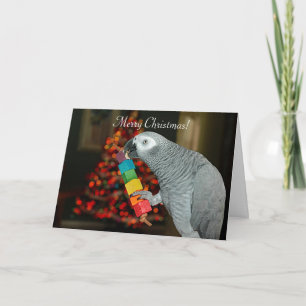 Kongo African Gray Parrot Merry Weihnachtsbaum Karte