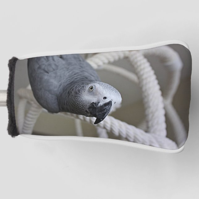 Kongo Afrikanischer Grauer Papagei hat Spaß Golf Headcover (Vorderseite)
