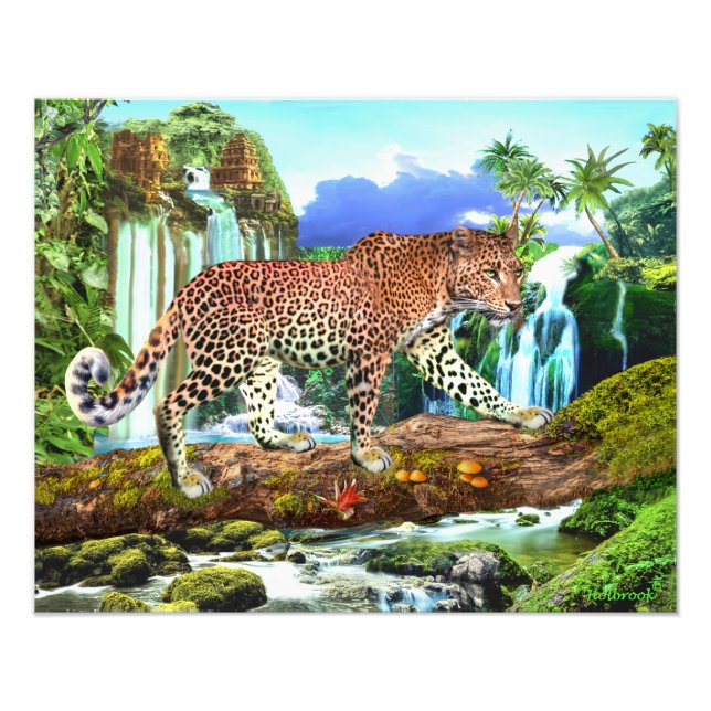 KONGO-LEOPARD FOTODRUCK (Vorne)
