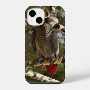 Kongograupapagei auf einer Schaukel Case-Mate iPho iPhone 14 Hülle