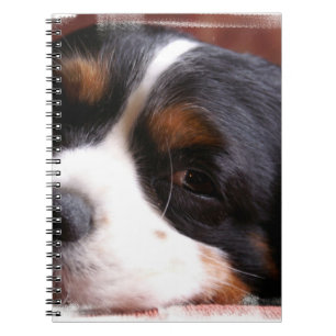 König Charles Cavalier Notebook Notizblock