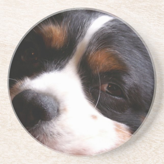 König Charles Cavalier Spaniel Coasters Sandstein Untersetzer (Vorne)