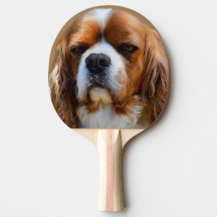 König Charles Cavalier Spaniel Face, Tischtennis Schläger
