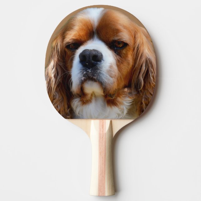 König Charles Cavalier Spaniel Face, Tischtennis Schläger (Vorderseite)