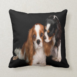 König Charles Cavalier Spaniel Kissen