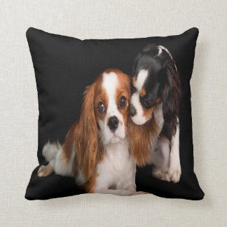 König Charles Cavalier Spaniel Kissen