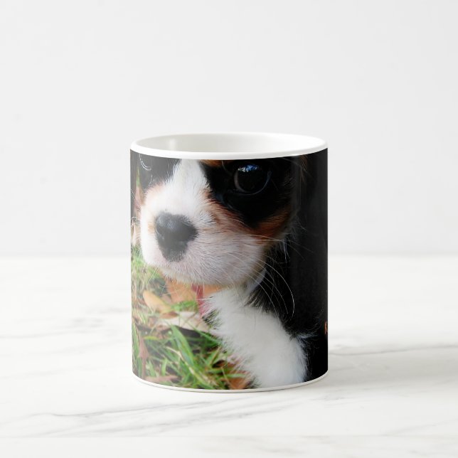 König Charles Cavalier Spaniel Mug Kaffeetasse (Mittel)