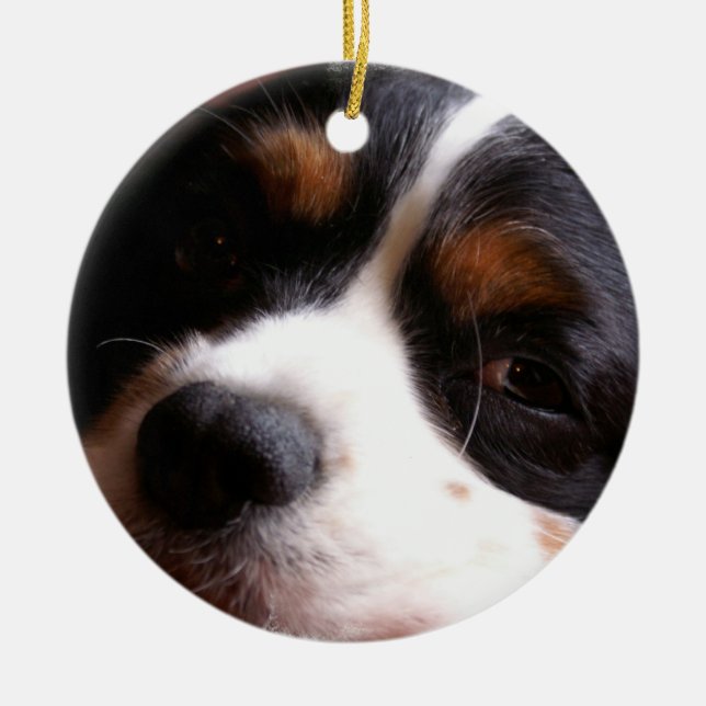 König Charles Cavalier Spaniel Ornament (Vorne)