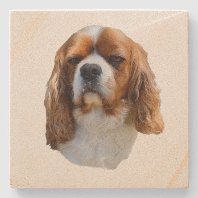 König Charles Cavalier Spaniel, Steinuntersetzer (Vorderseite)