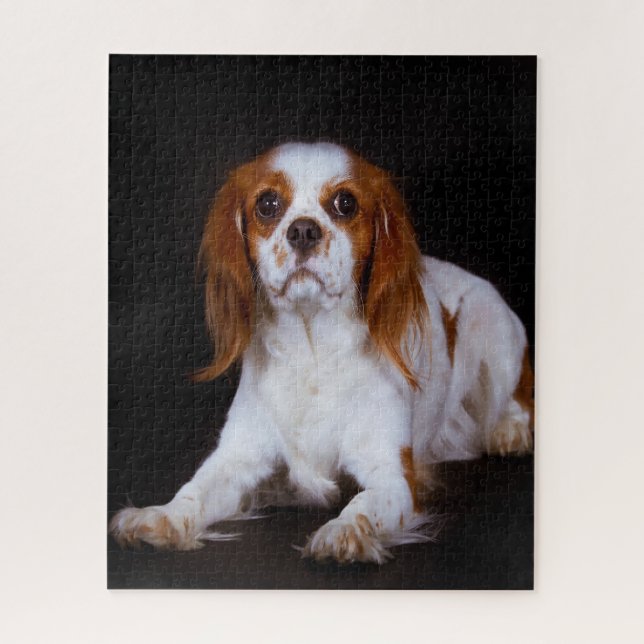König Charles Spaniel Hund. Puzzle (Vertikal)