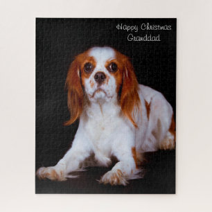 König Charles Spaniel Hund. Puzzle