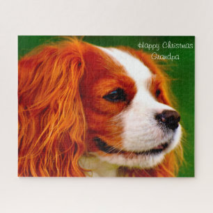 König Charles Spaniel Hund. Puzzle