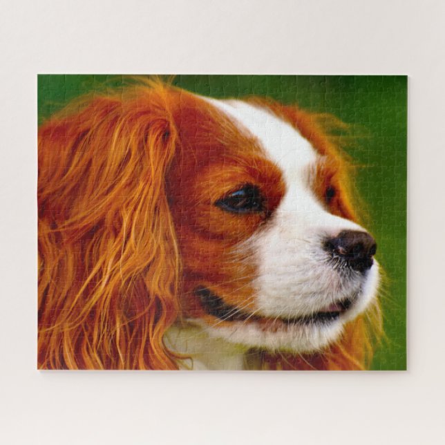 König Charles Spaniel Hund. Puzzle (Horizontal)