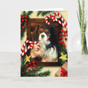 König Charles Spaniel Weihnachtskarte Niedlich Feiertagskarte