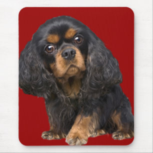 König Charles Spanisch Mousepad