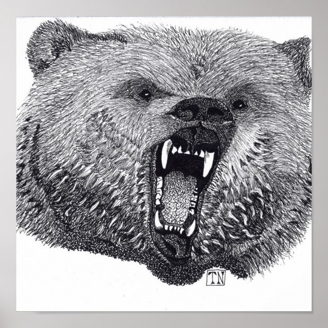 König der Wilden, Grizzlybär Poster. Poster (Vorne)